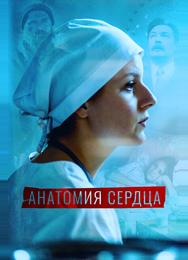Анатомия сердца