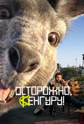 Осторожно, Кенгуру! (2020)