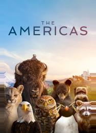 Америка