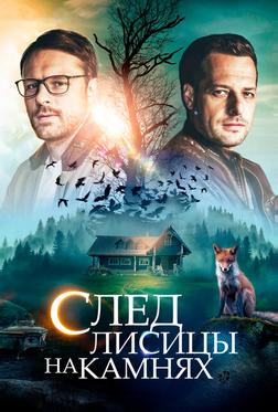 След лисицы на камнях След лисицы на камнях