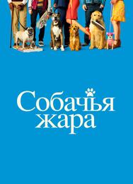 Собачьи дни