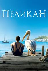 Пеликан (2011)